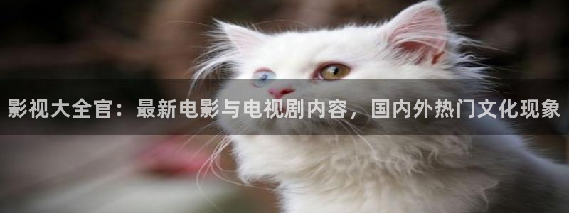 玖玖99视频：影视大全官：最新电影与电视剧内容，国内外热门文化现象