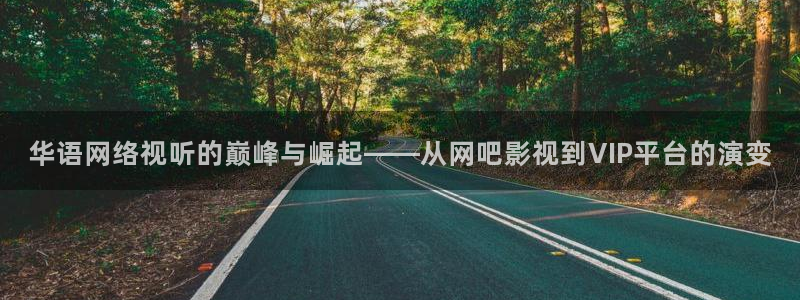 精品视频玖玖玫玖玖：华语网络视听的巅峰与崛起——从网吧影视到VIP平台的演变