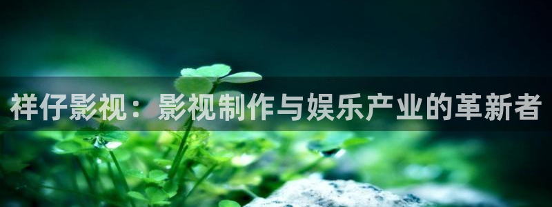 玖玖性视频：祥仔影视：影视制作与娱乐产业的革新者