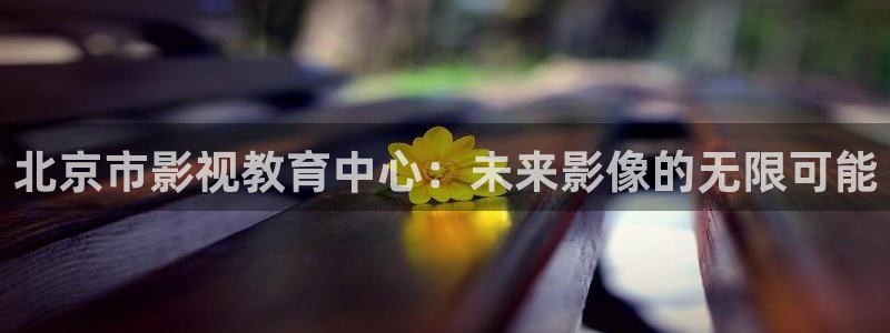 玖玖爱在线视频免费：北京市影视教育中心：未来影像的无限可能