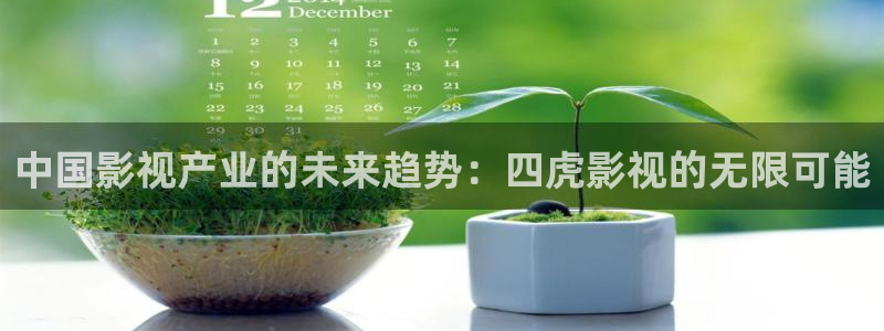 玖玖视频app：中国影视产业的未来趋势：四虎影视的无限可能