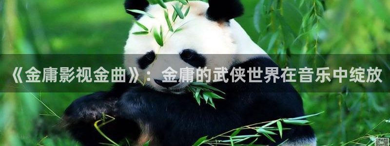 玖玖国产精品视频：《金庸影视金曲》：金庸的武侠世界在音乐中绽放