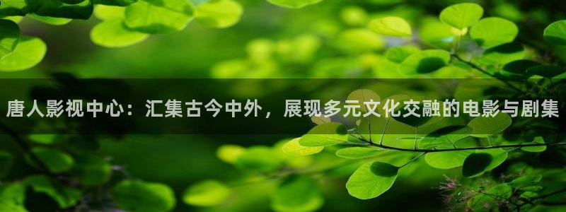 玖玖在线视频 在线播放：唐人影视中心：汇集古今中外，展现多元文化交融的电影与剧集