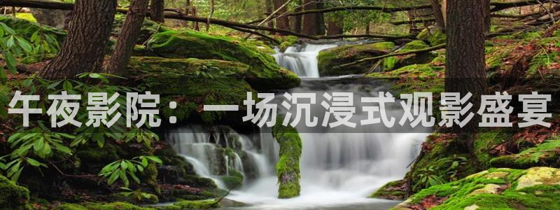 玖玖玖在线观看：午夜影院：一场沉浸式观影盛宴