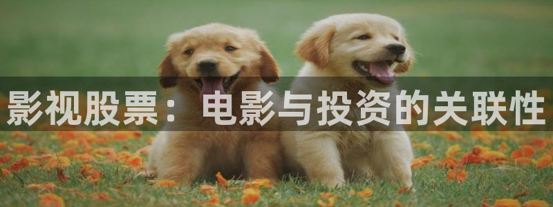 玖玖在线视频免费播放：影视股票：电影与投资的关联性