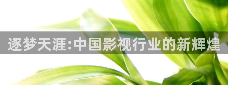 在线玖玖：逐梦天涯:中国影视行业的新辉煌